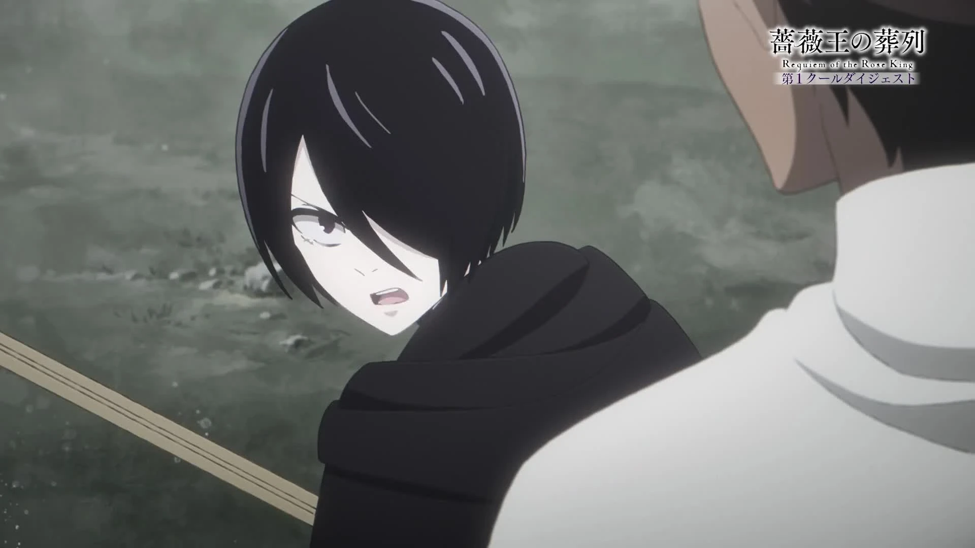 Baraou no Souretsu (Dub)