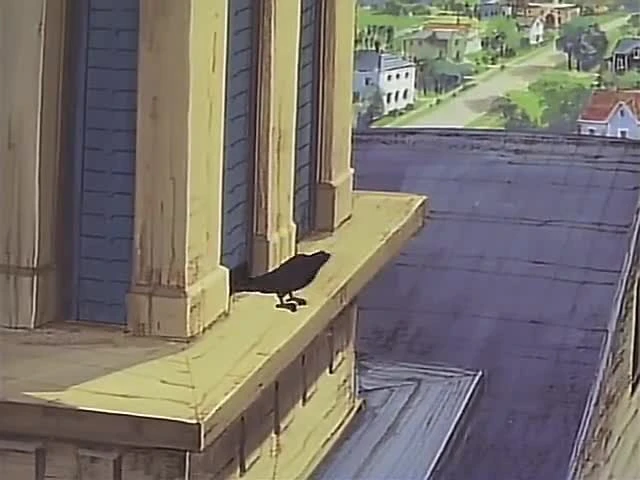Araiguma Rascal
