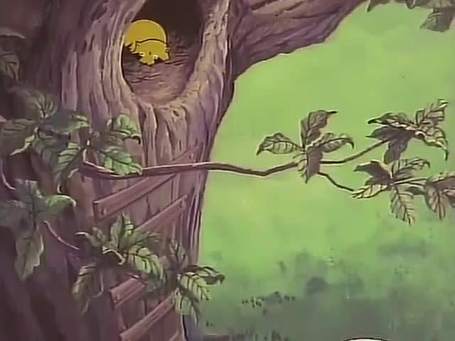 Araiguma Rascal