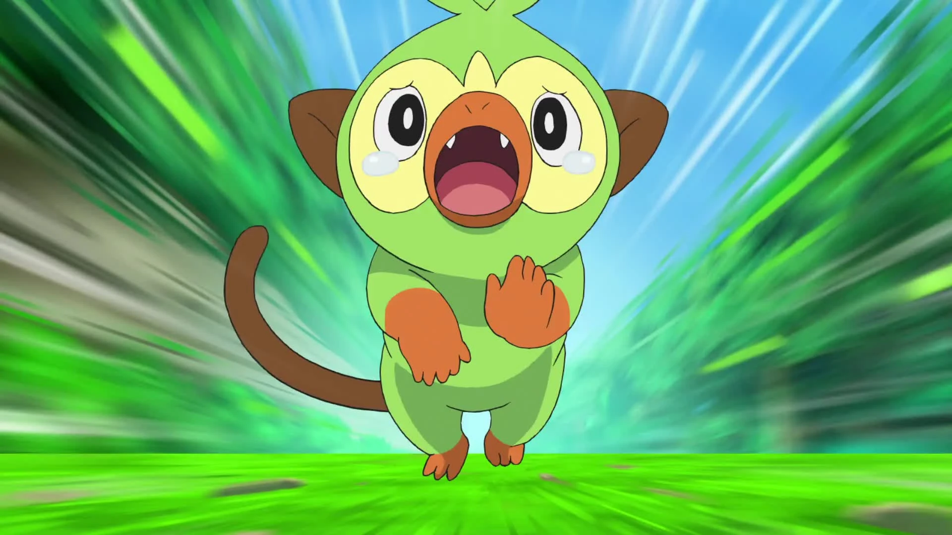 Pokemon (2019)