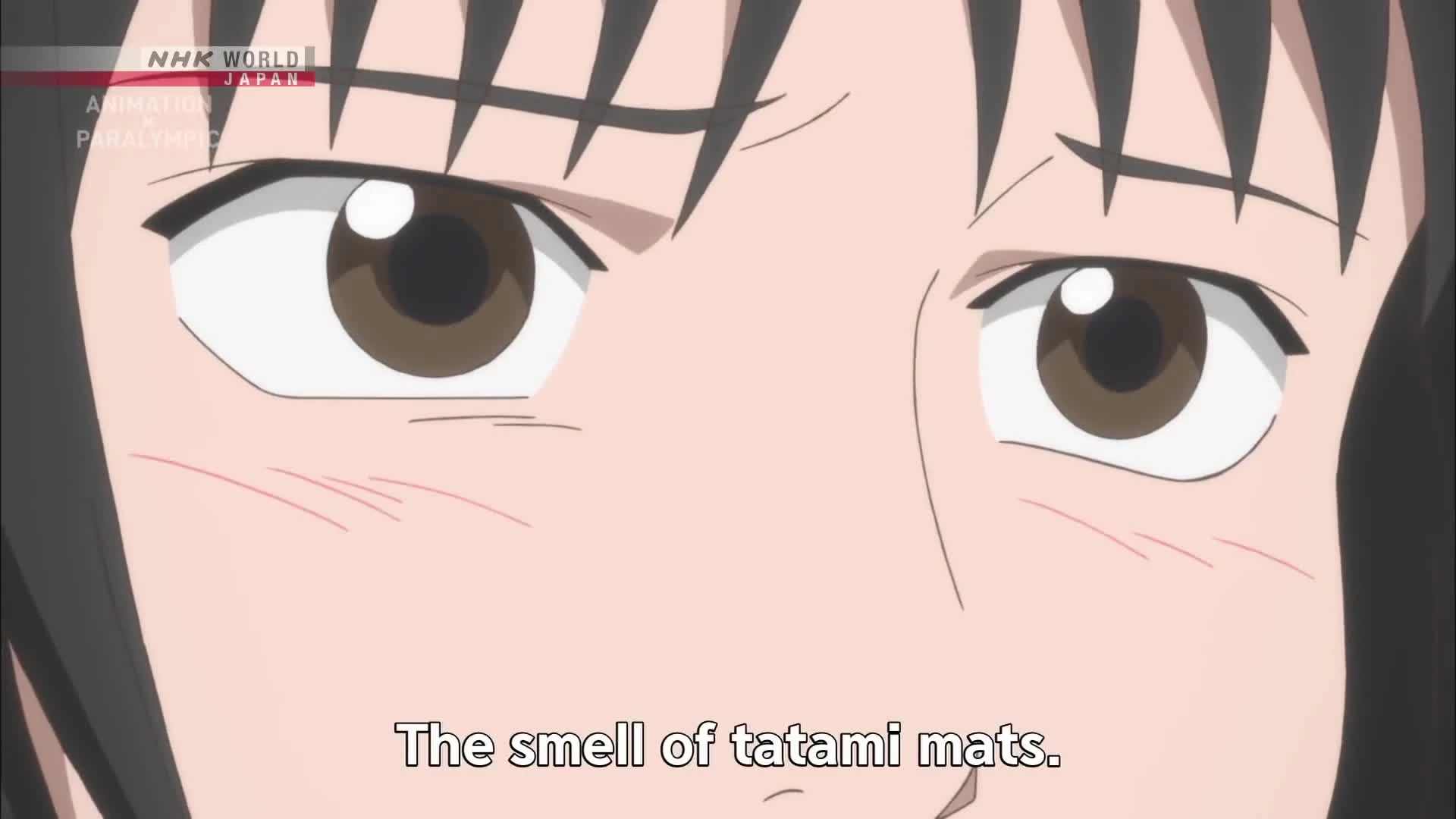 Ani x Para: Anata no Hero wa Dare desu ka