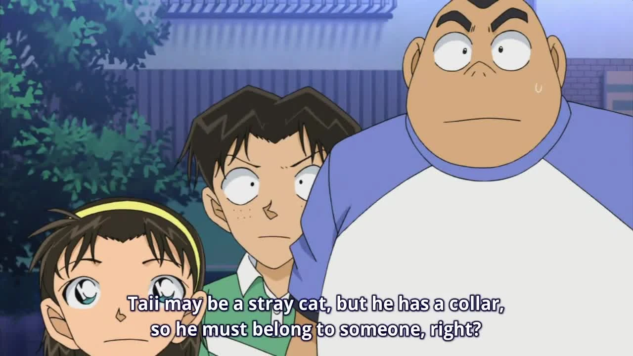 Detective Conan