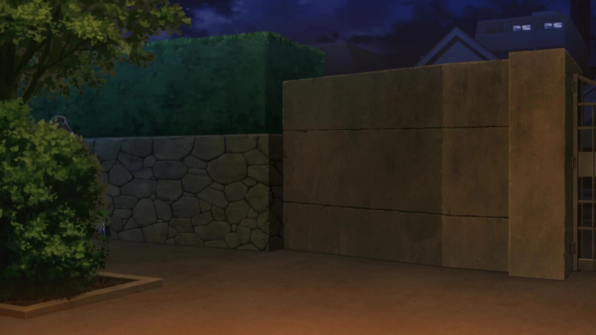 Detective Conan
